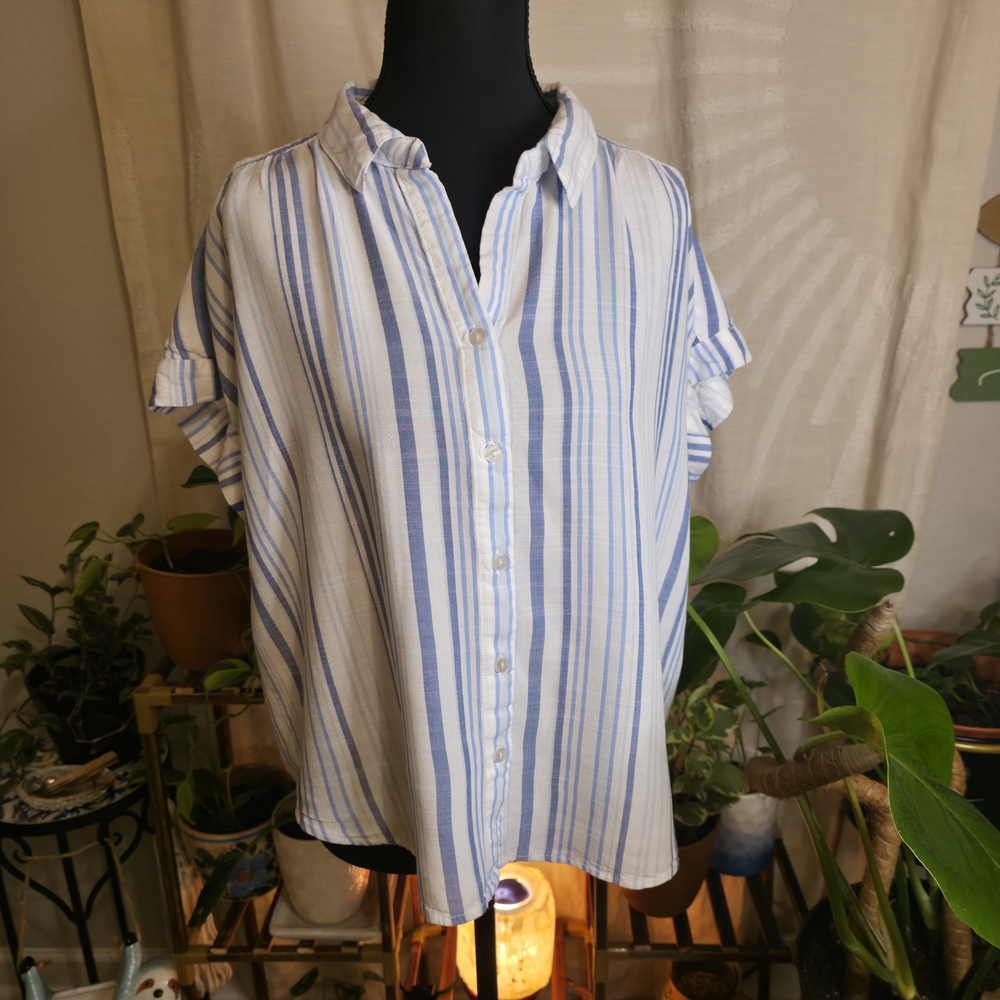 Blue and White Striped Button Down Shirt